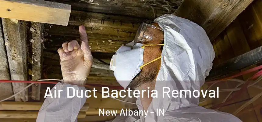 Air Duct Bacteria Removal New Albany - IN