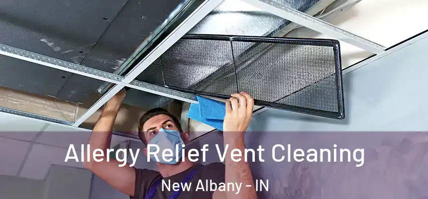  Allergy Relief Vent Cleaning New Albany - IN
