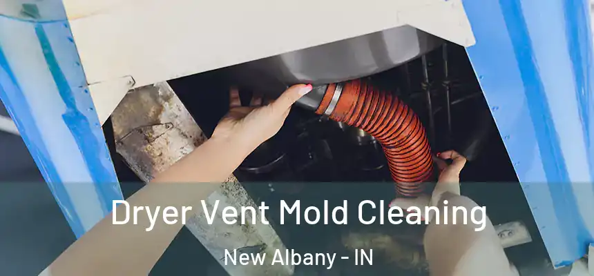 Dryer Vent Mold Cleaning New Albany - IN