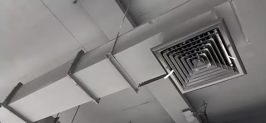 Our Rodent Droppings In Vents Services in New Albany, IN