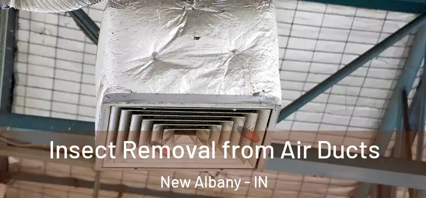 Insect Removal from Air Ducts New Albany - IN