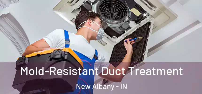  Mold-Resistant Duct Treatment New Albany - IN
