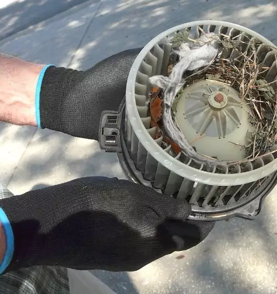 About Air Duct Mice Removal in New Albany, IN