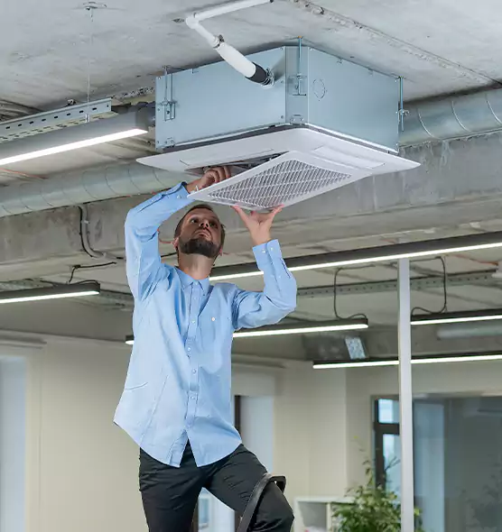 Advanced Rodent Droppings In Vents in New Albany, IN