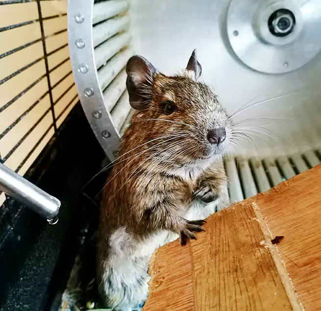 Why Homeowners & Businesses Trust Us New Albany, IN?