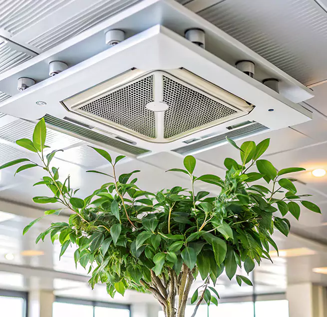 Why Homeowners & Businesses Trust Us in New Albany, IN?