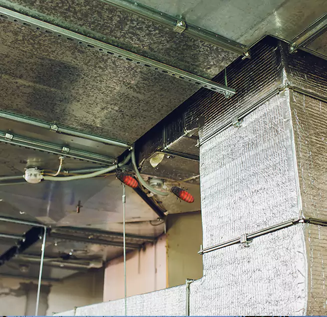 Why Homeowners & Businesses Trust Us New Albany, IN?